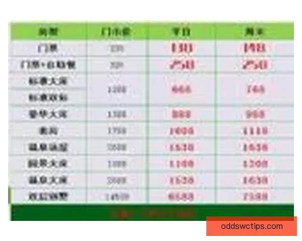 最新世界杯竞猜平台推荐全面分析安全可靠高赔率选择指南